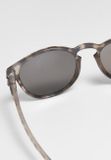 Urban Classics 106 Sunglasses UC grey leo/silver